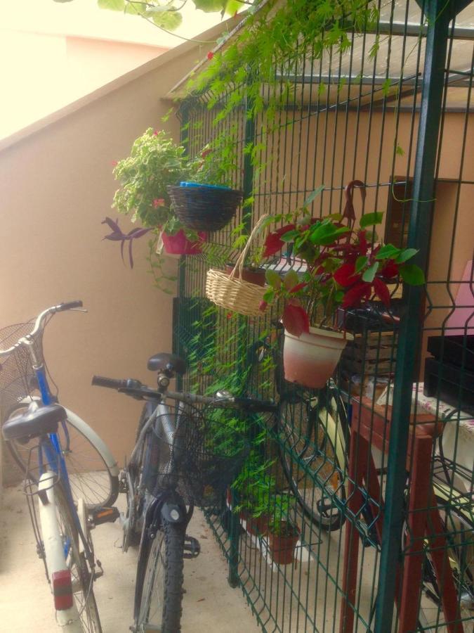 Apartment Dunja Djenovici تْشيرسيك نوفي المظهر الخارجي الصورة